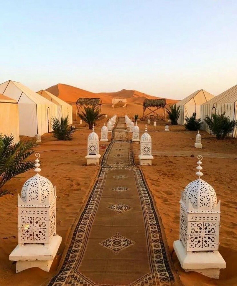 مجالس ومخيمات - 13