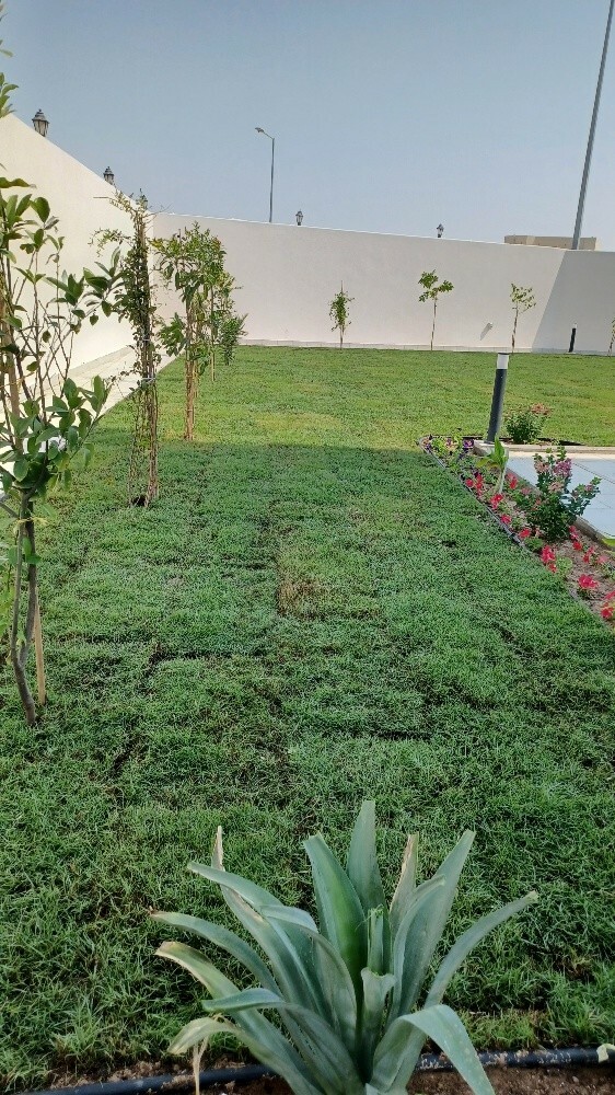 زراعة الحدائق - 1