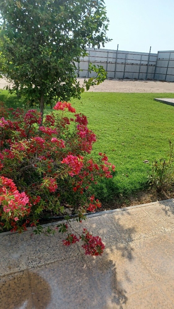 زراعة الحدائق - 4