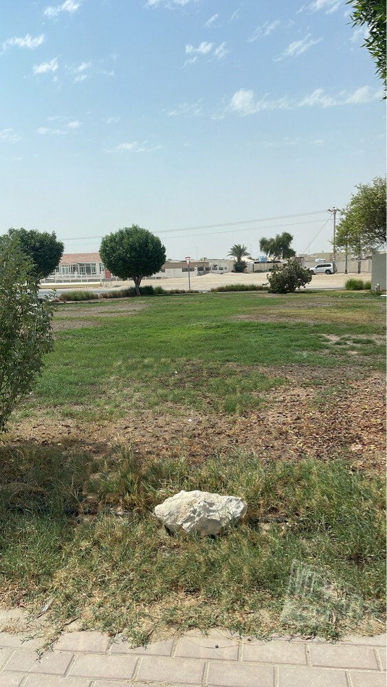 تسميد ومعالجه العشب التالف - 1