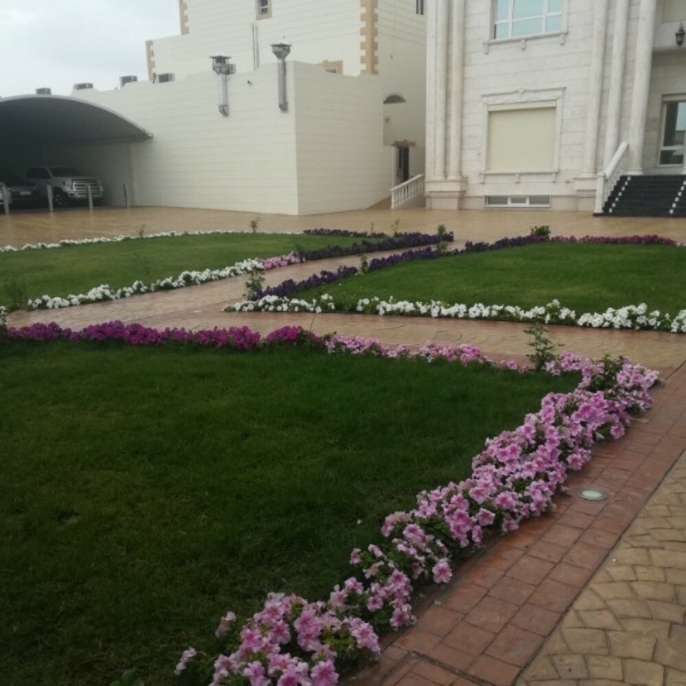 اعمال الاند سكب - 2