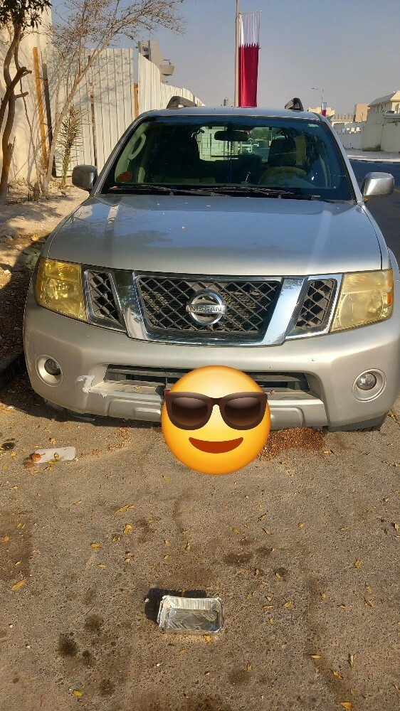 Nissan Pathfinder 2010 Model - 7