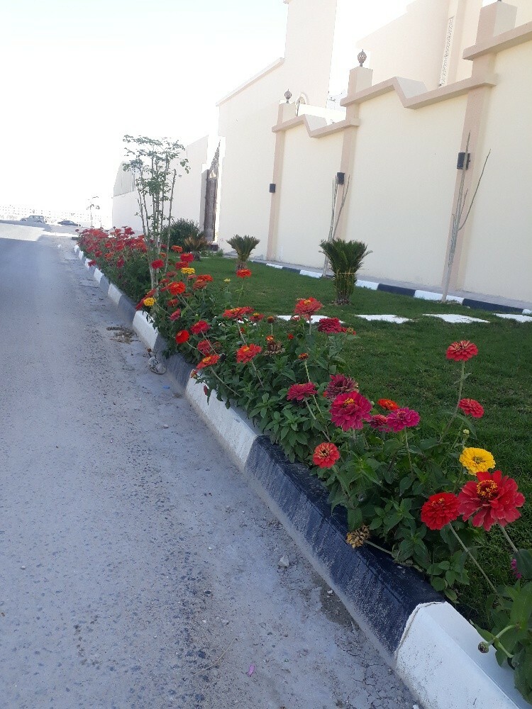 Mostafa kamal - 12