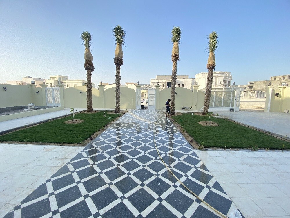 Mostafa kamal - 8