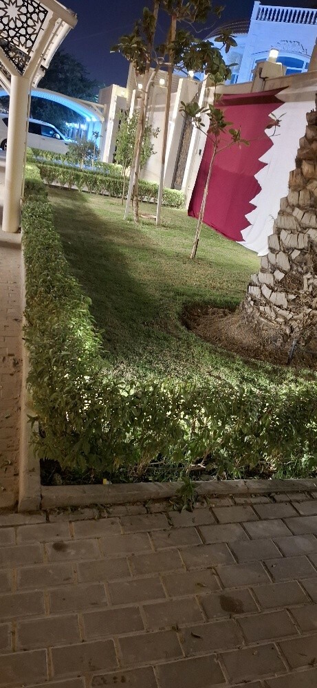 Mostafa kamal - 2