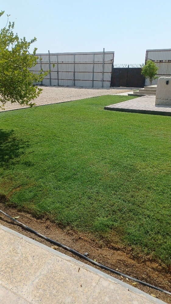 ترتيب الحدائق - 5