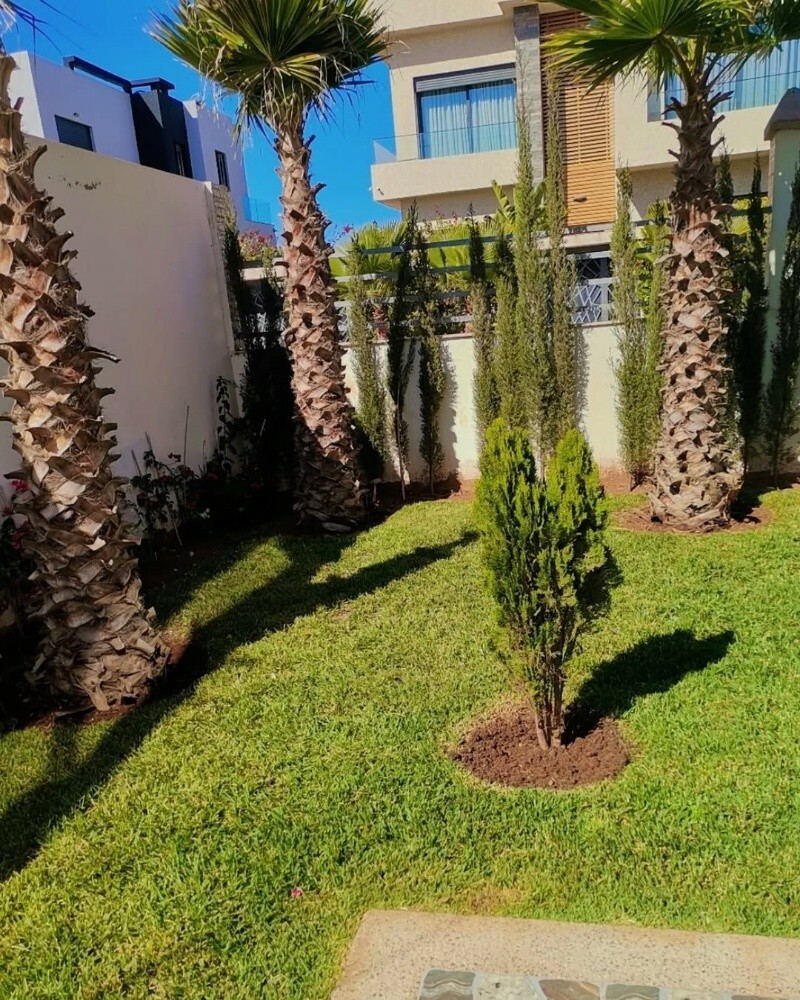 ترتيب الحدائق - 1