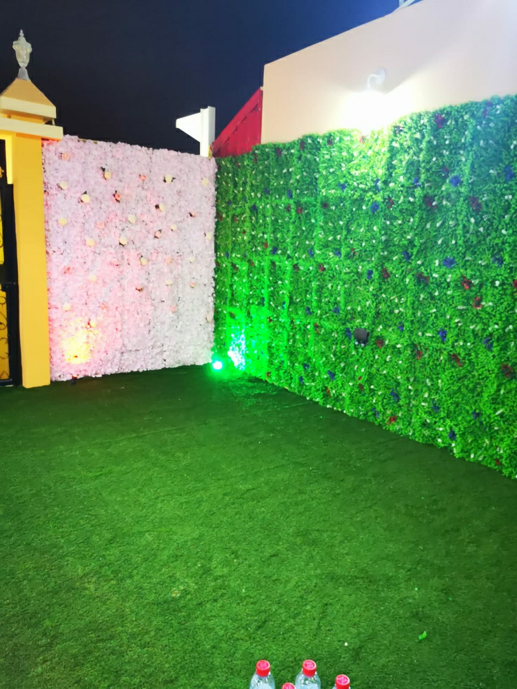 عشب أخضر ترتان اخضر موكيت - 3