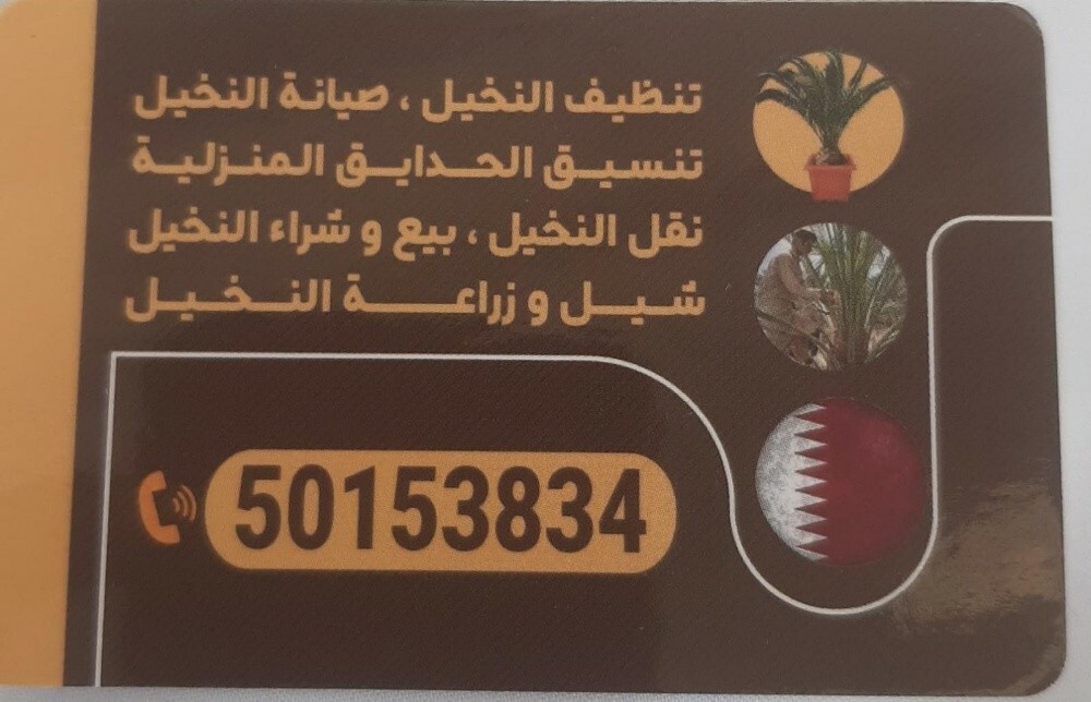 محمد - 6