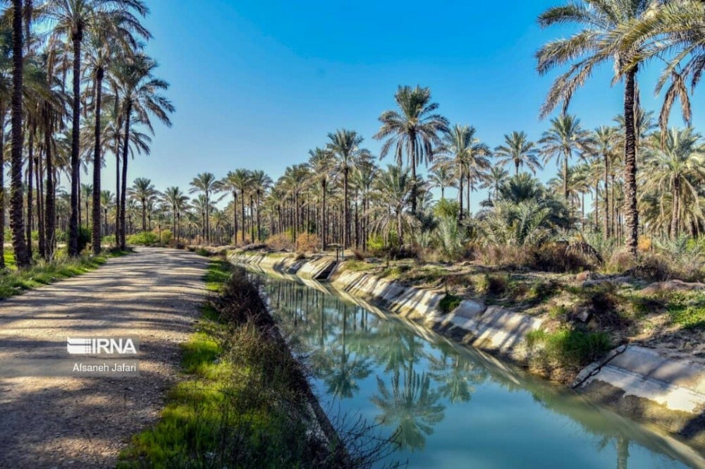محمد - 3