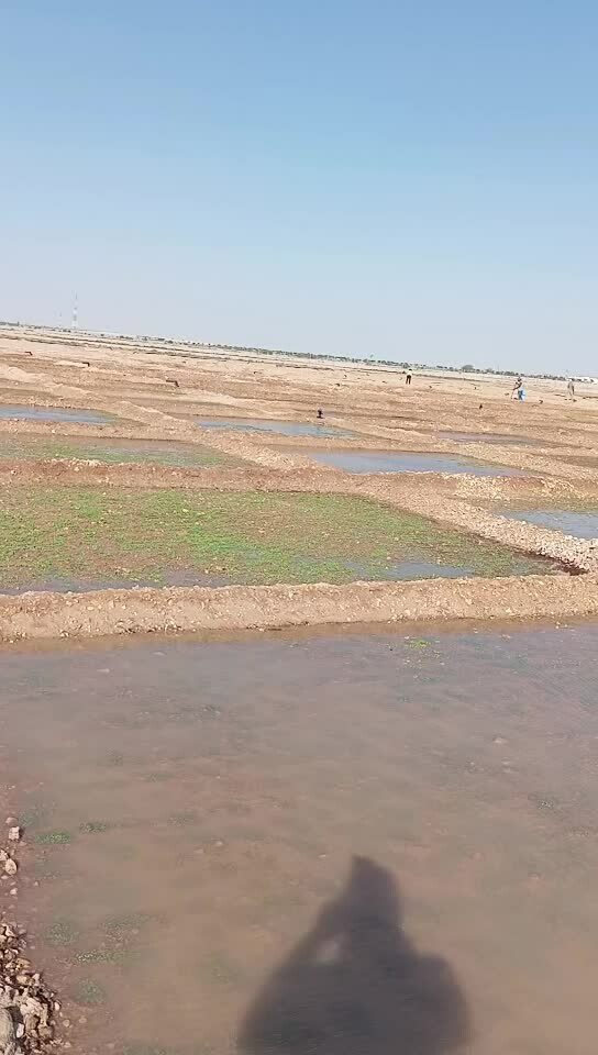 مزارع الدوحة - 1