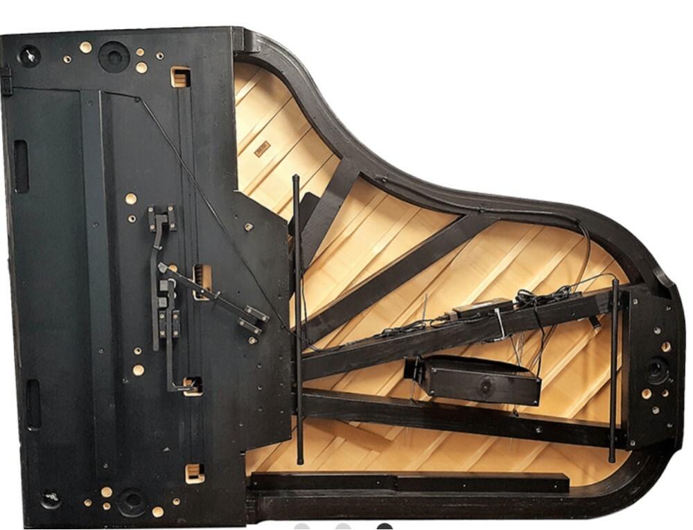Piano Master,Tuning, Protection - 2