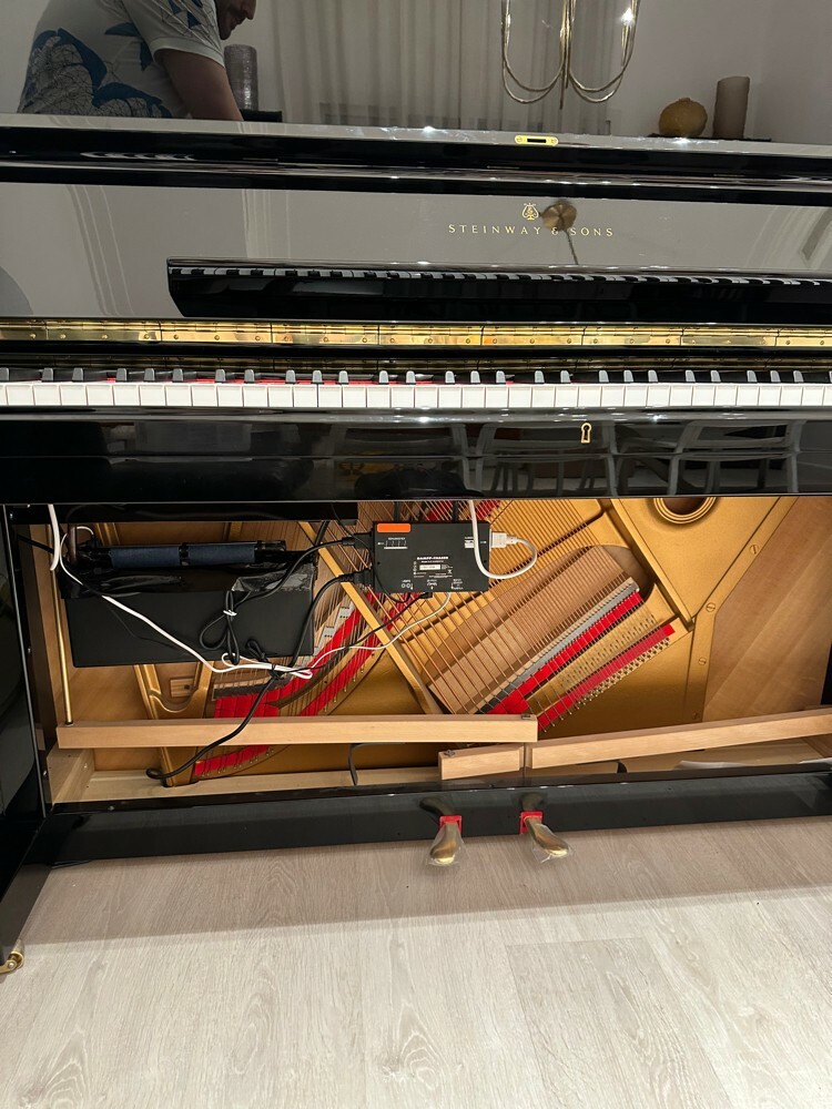 Piano Master,Tuning, Protection - 3