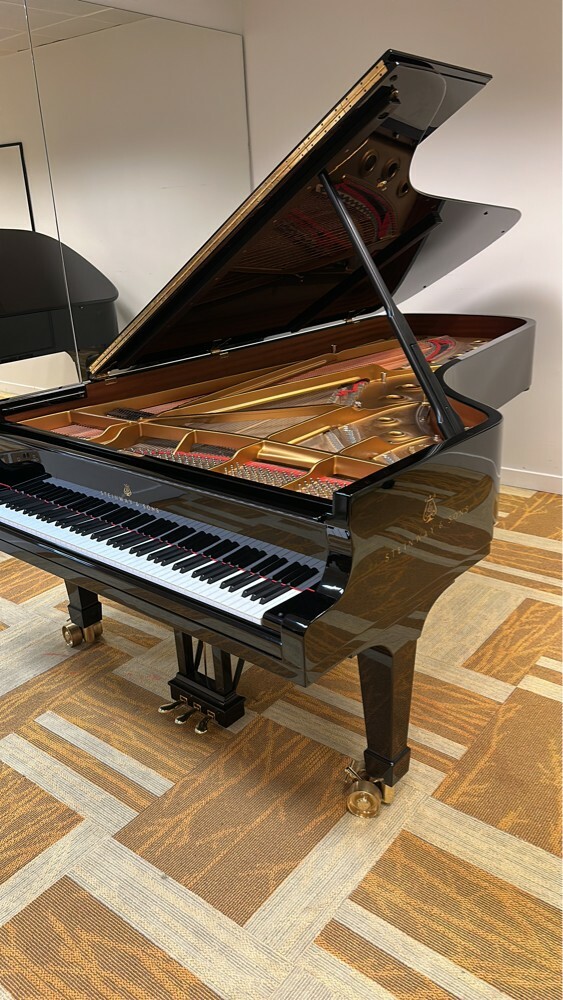 Piano Master,Tuning, Protection - 4