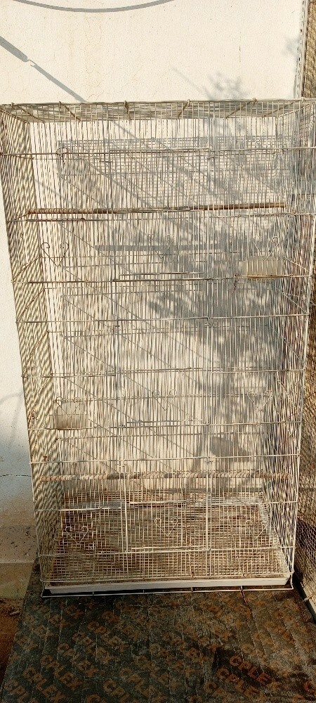CAGES - 1