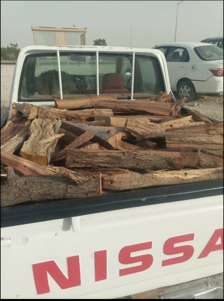 حطب سدر وقرض ناشف - 2