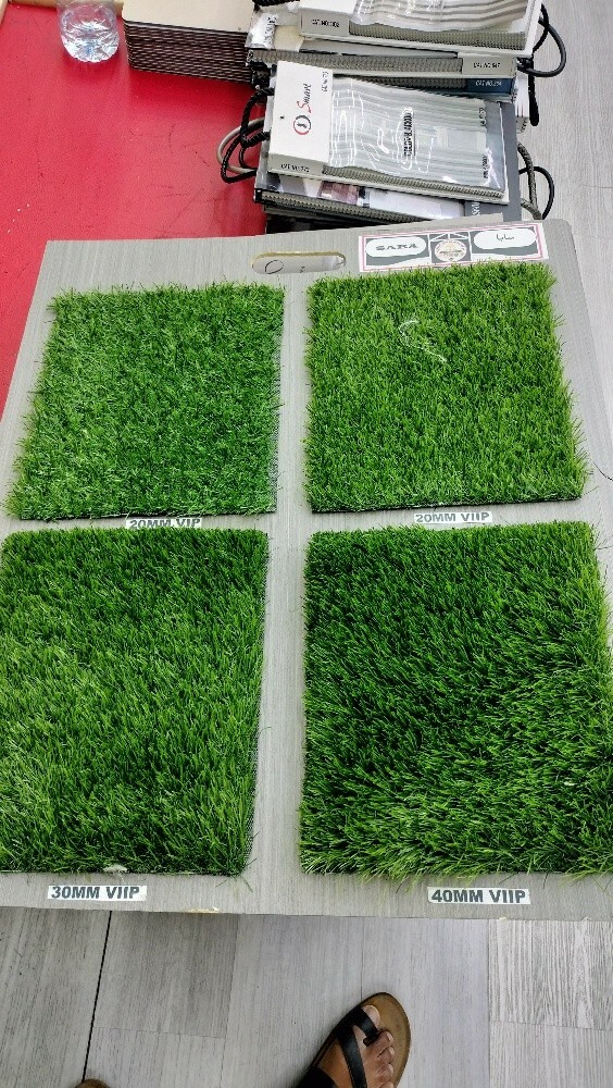 gras carpet - 12
