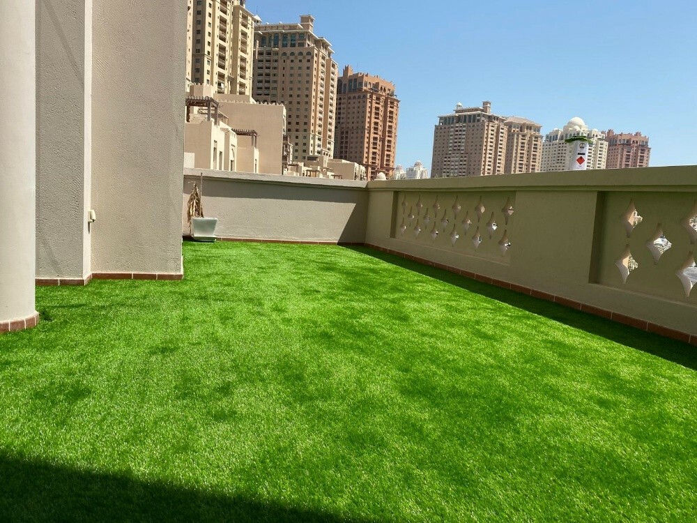 gras carpet - 6