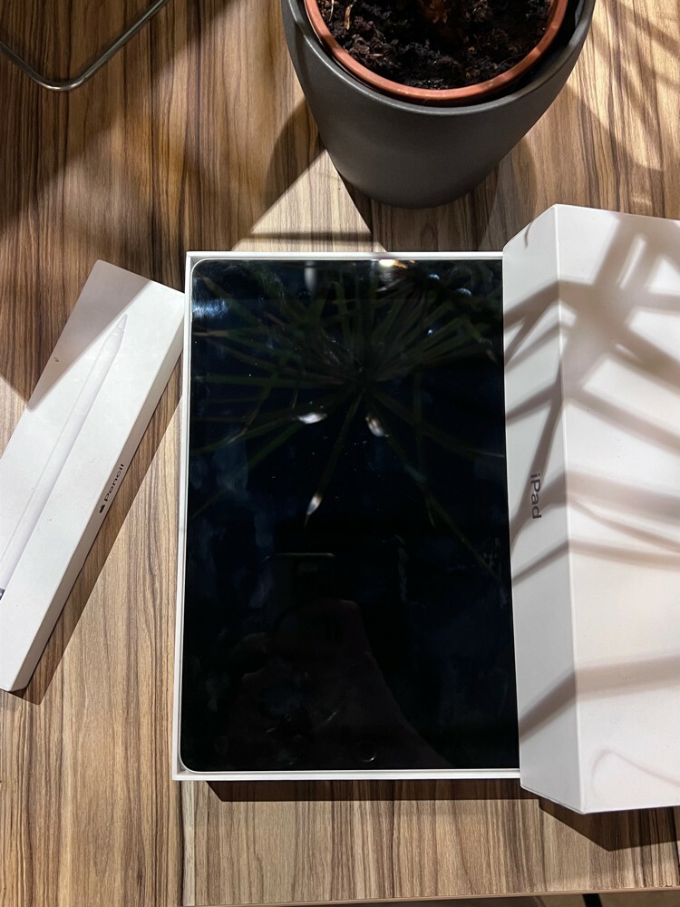 iPad 9th gen 256GB + Apple Pencil - 5
