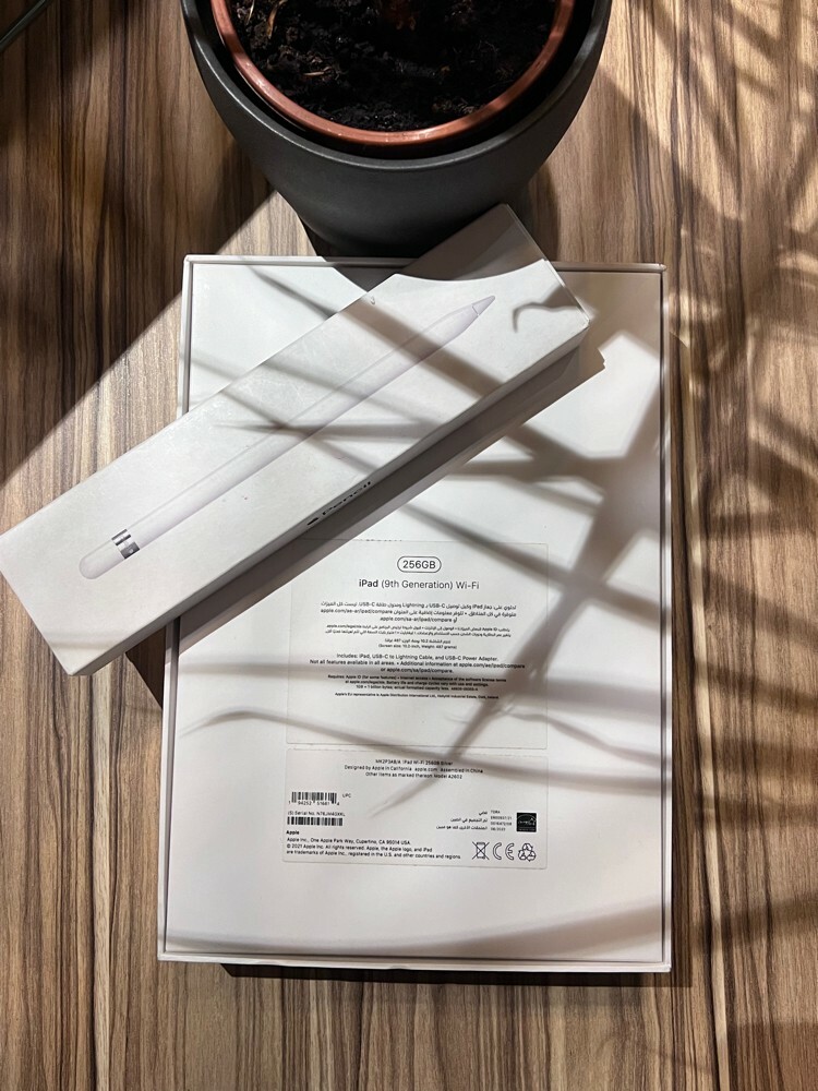 iPad 9th gen 256GB + Apple Pencil - 2