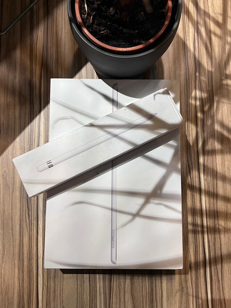 iPad 9th gen 256GB + Apple Pencil - 4