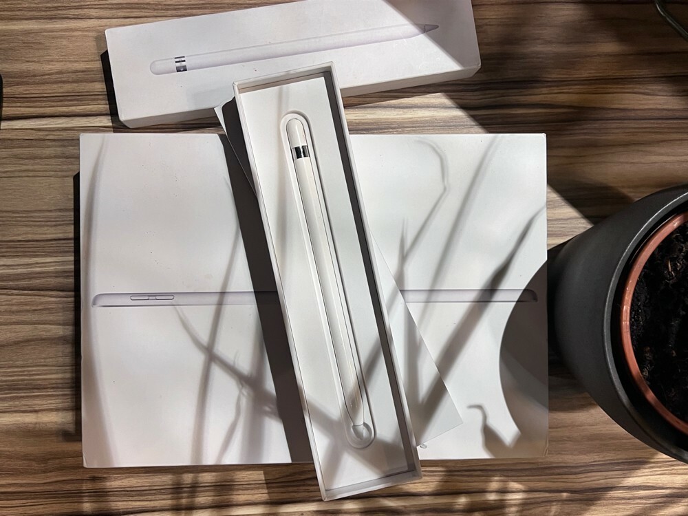 iPad 9th gen 256GB + Apple Pencil - 3
