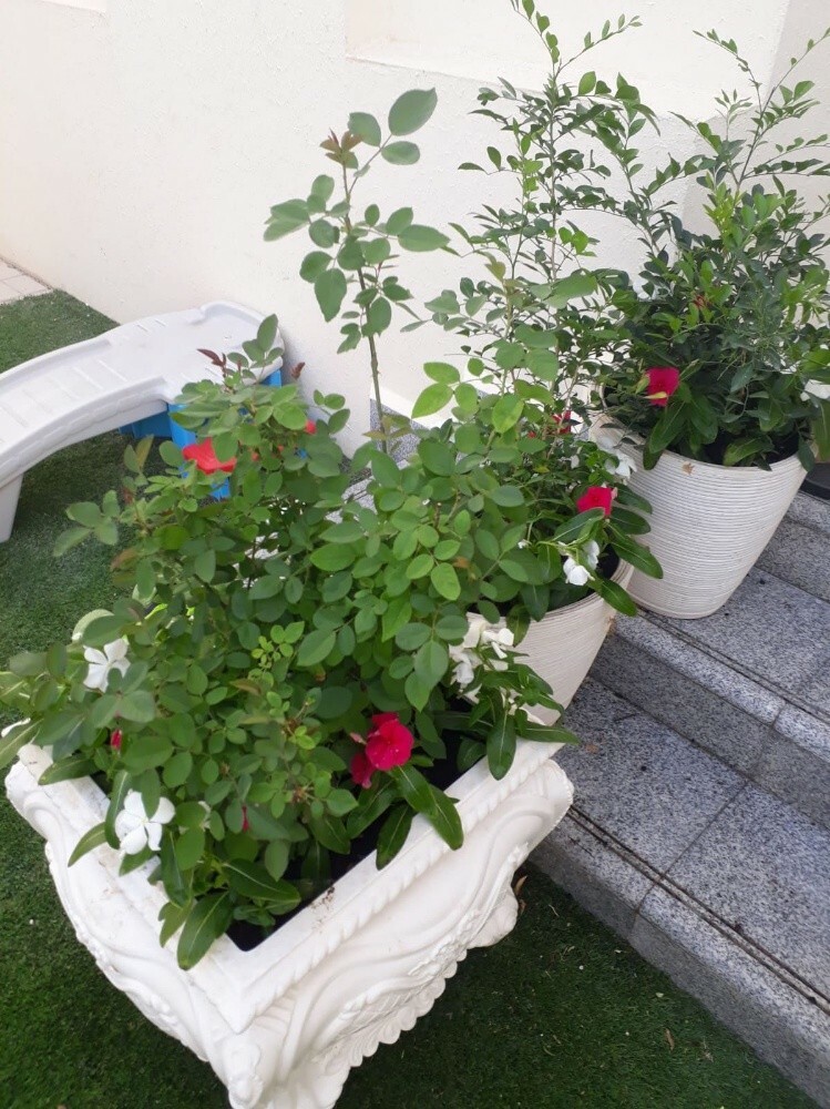 مهندس زراعي - 3