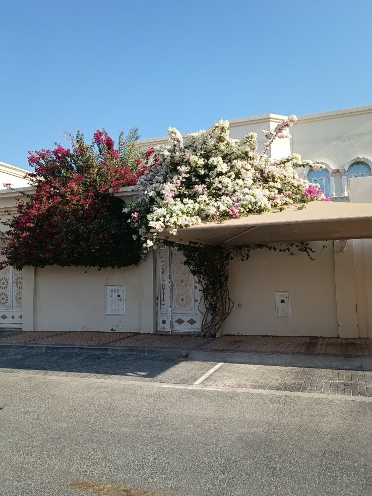 مهندس زراعي - 6
