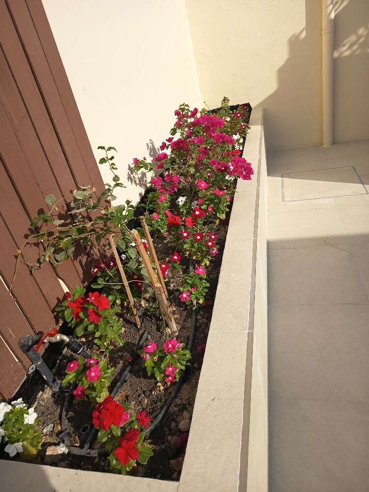 مهندس زراعي - 7