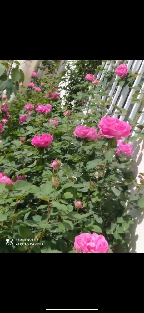 احواض - 2