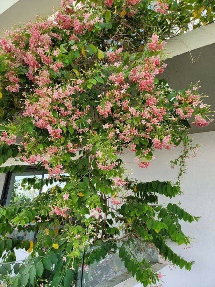 احواض - 5