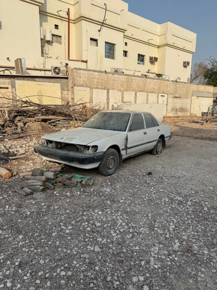 كرسيدا سكراب - 1