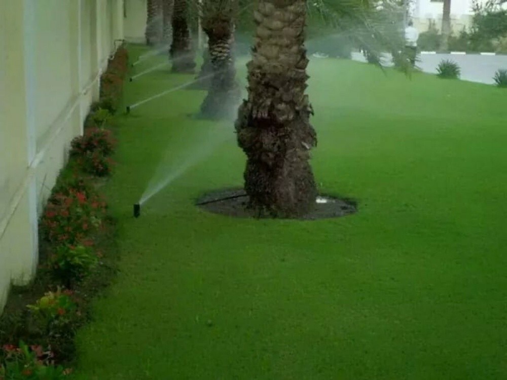 ابو حمزه - 3