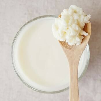 Kefir Grains. - 1