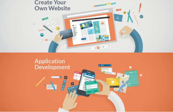 Software, Website and Mobile App - 4