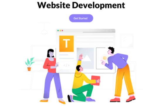 Software, Website and Mobile App - 2