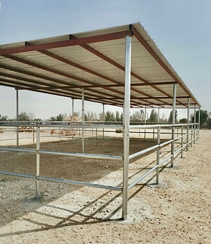 MAGLA - 1