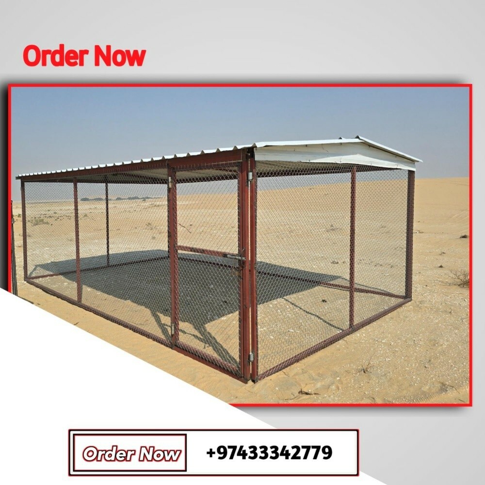 القطط وغيرها - 4