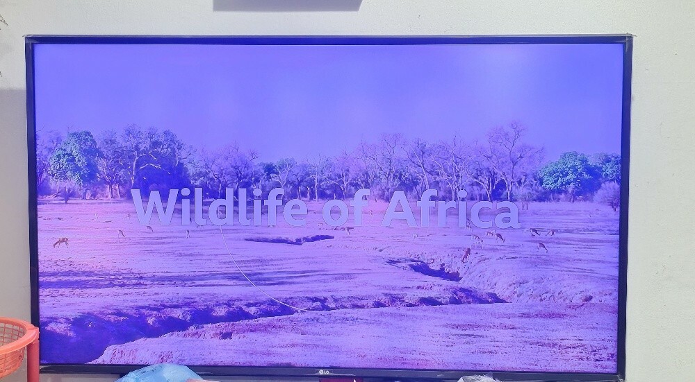 LG SMART TV - 1