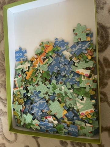 World Map Puzzle - 4