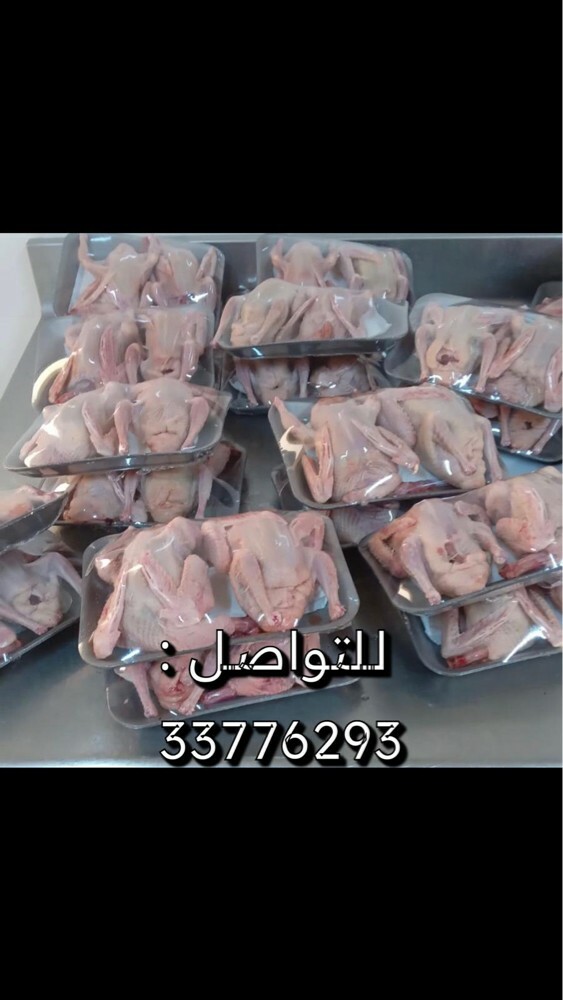 حمام لاحم مذبوح مغلف  - 2