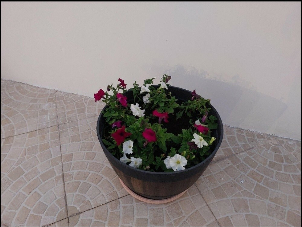 احواض زراعه - 2