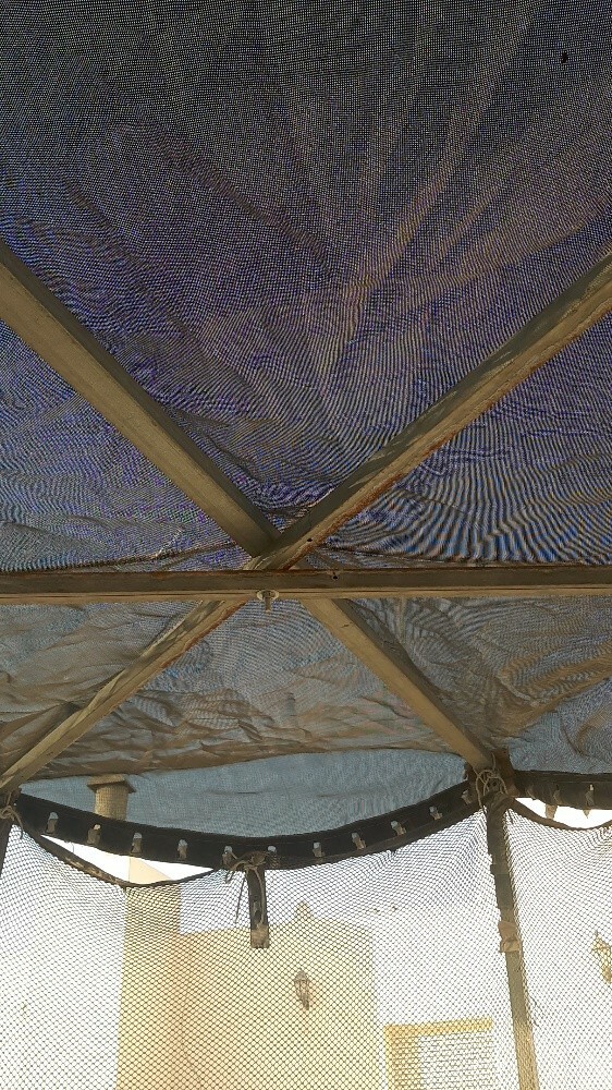 pergola 3 meter diameter - 2