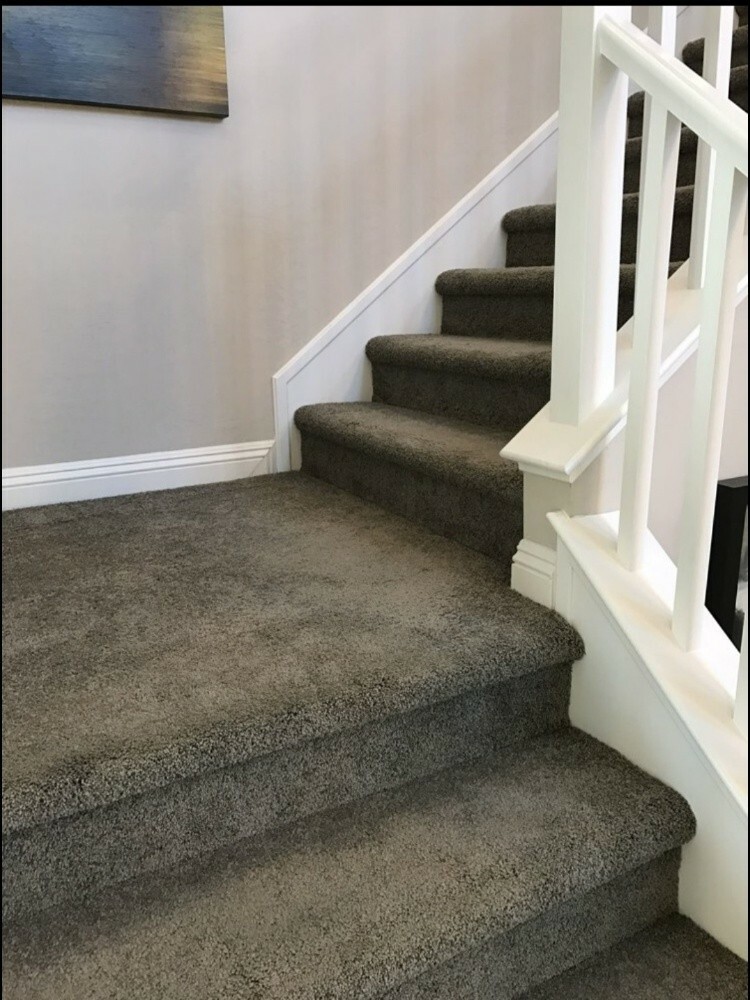 New Carpet collection. - 24