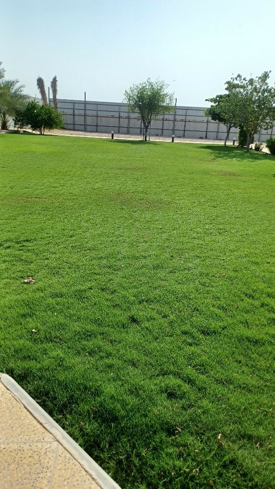 العنايه بالحدائق - 4