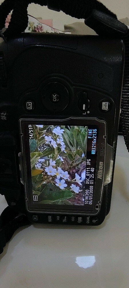 Nikon d90 - 2
