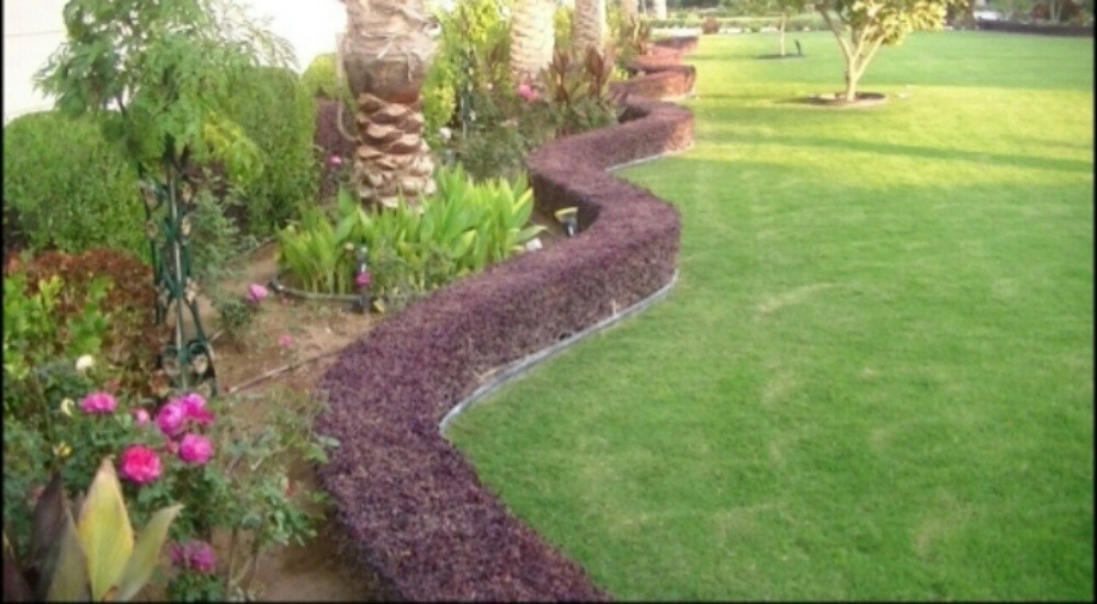 العشب الصناعي ،55504810 - 2