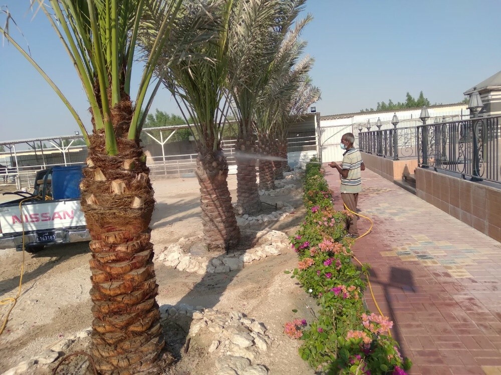 العشب الصناعي ،55504810 - 9