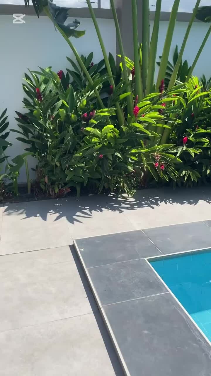 مزارع عمل أجمل الحدائق ومتابعه شه - 1