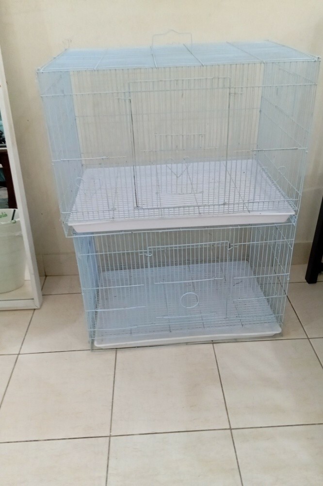 2 bird cage - 3